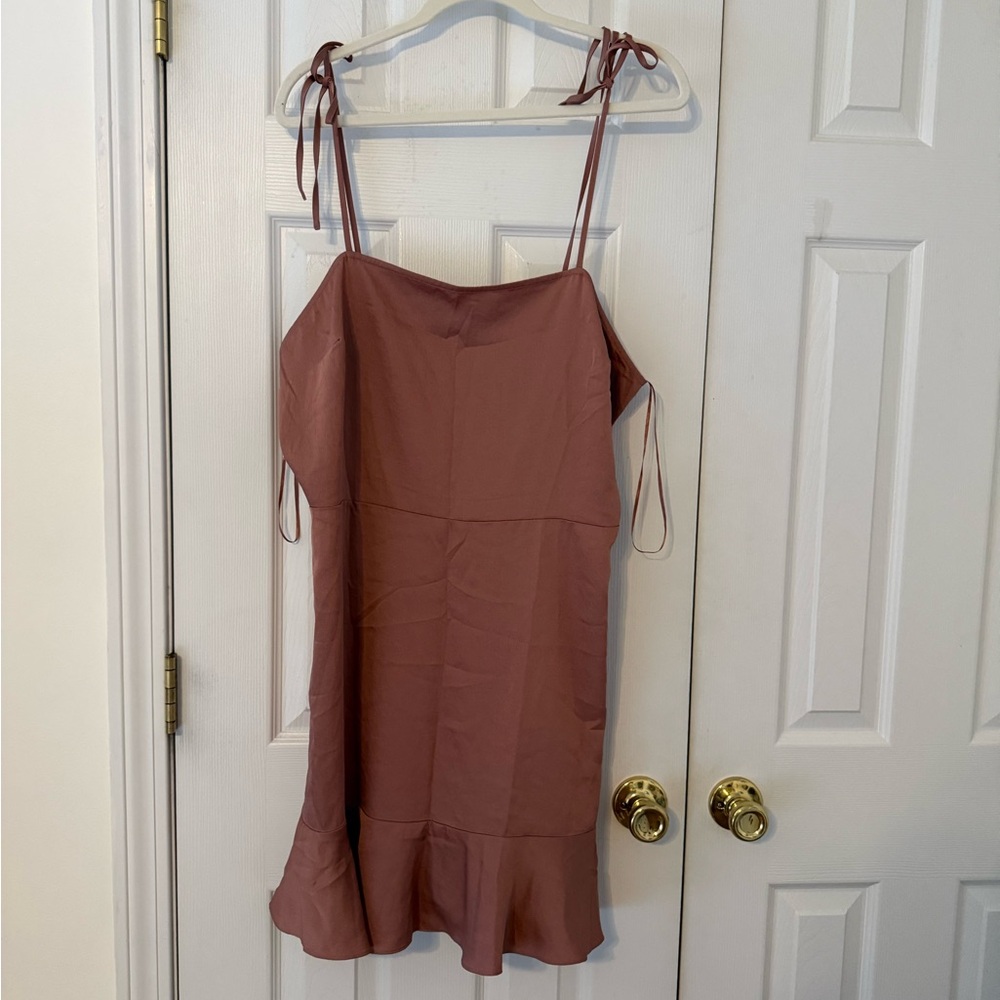 Express Dusty Rose Smocked Dress